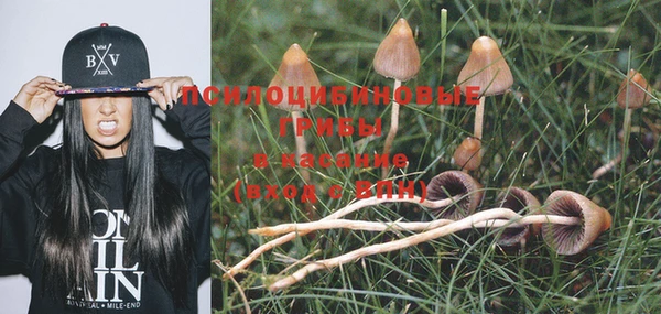 mdma Заволжье