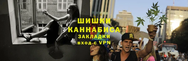 mdpv Заводоуковск
