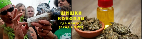 mdpv Заводоуковск