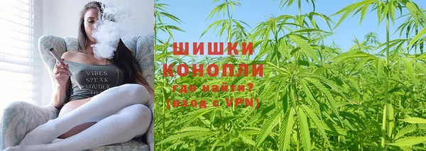 mdpv Заводоуковск