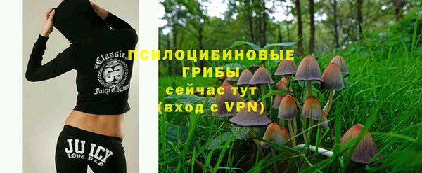 mdpv Заводоуковск