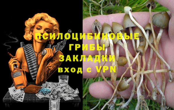 mdma Заволжье