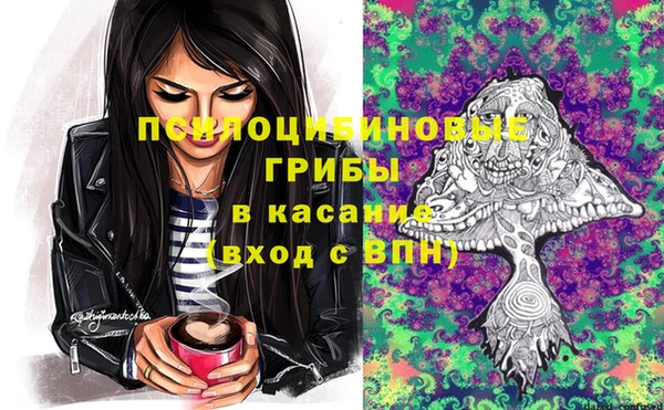 mdpv Заводоуковск