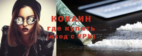 mdpv Заводоуковск