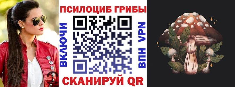 Псилоцибиновые грибы Cubensis Исилькуль
